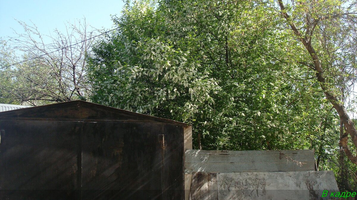 Тёмное и светлое