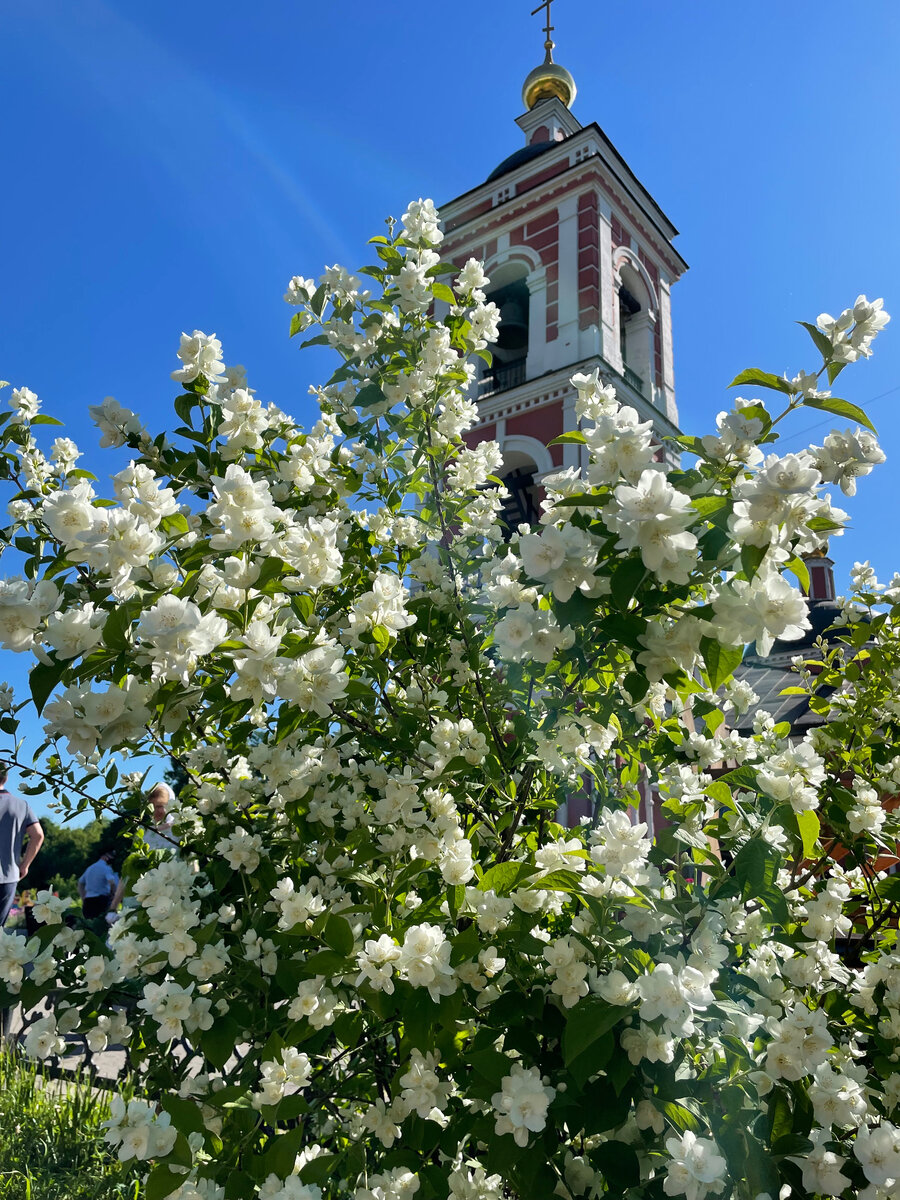 Храм Покрова на Городне, Москва