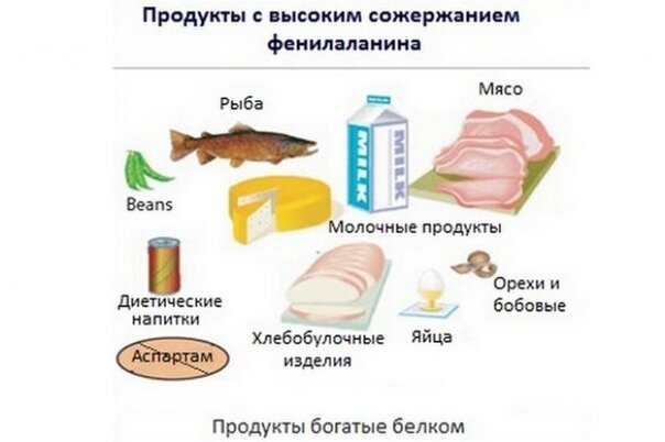 Тирозин в каких продуктах таблица Фенилкетонурия Synapse Дзен