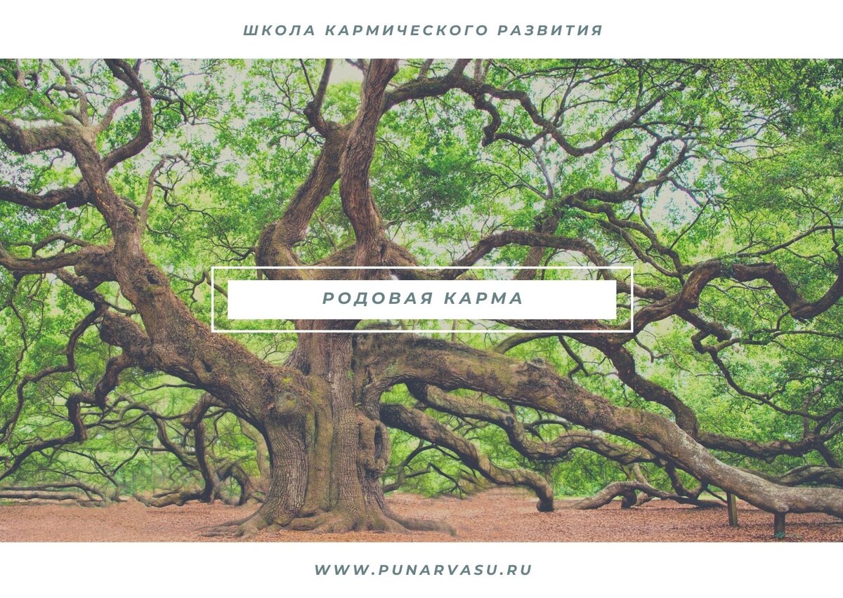 карма рода