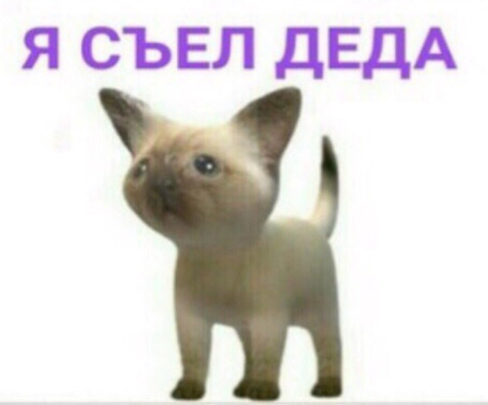Есть легенда, что если на собеседовании сказать: "Я съел деда" или "Канье Уэст", то тебе поставят зачёт автоматом.  