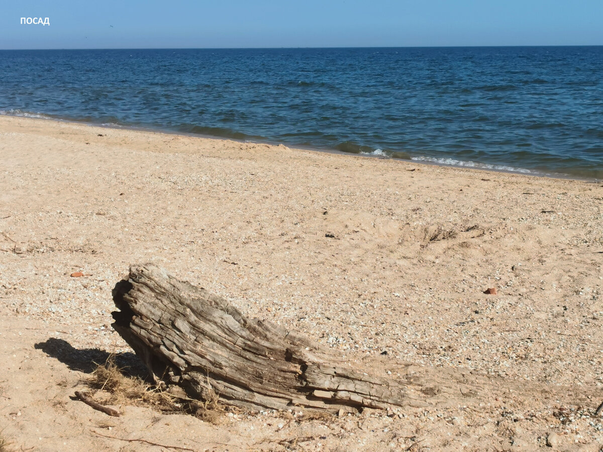 Огромный плАвник, который не унести.