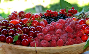 Малина очень любима не только за превосходный вкус. Не одно поколение людей использует её полезные свойства в лечении. Причем пользу для себя можно извлекать не только из ягод, но и из стеблей, листьев, делая из них лечебный отвар. Черешня не уступает малине ни популярности, ни по содержанию полезных витаминов и минералов. Некоторые садоводы не знают, совместима ли черешня с малиной, и что можно посадить рядом с этими растениями.