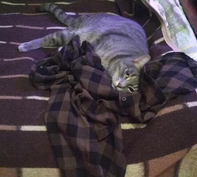 Вот оно — самое мягкое и просторное место для отдыха!