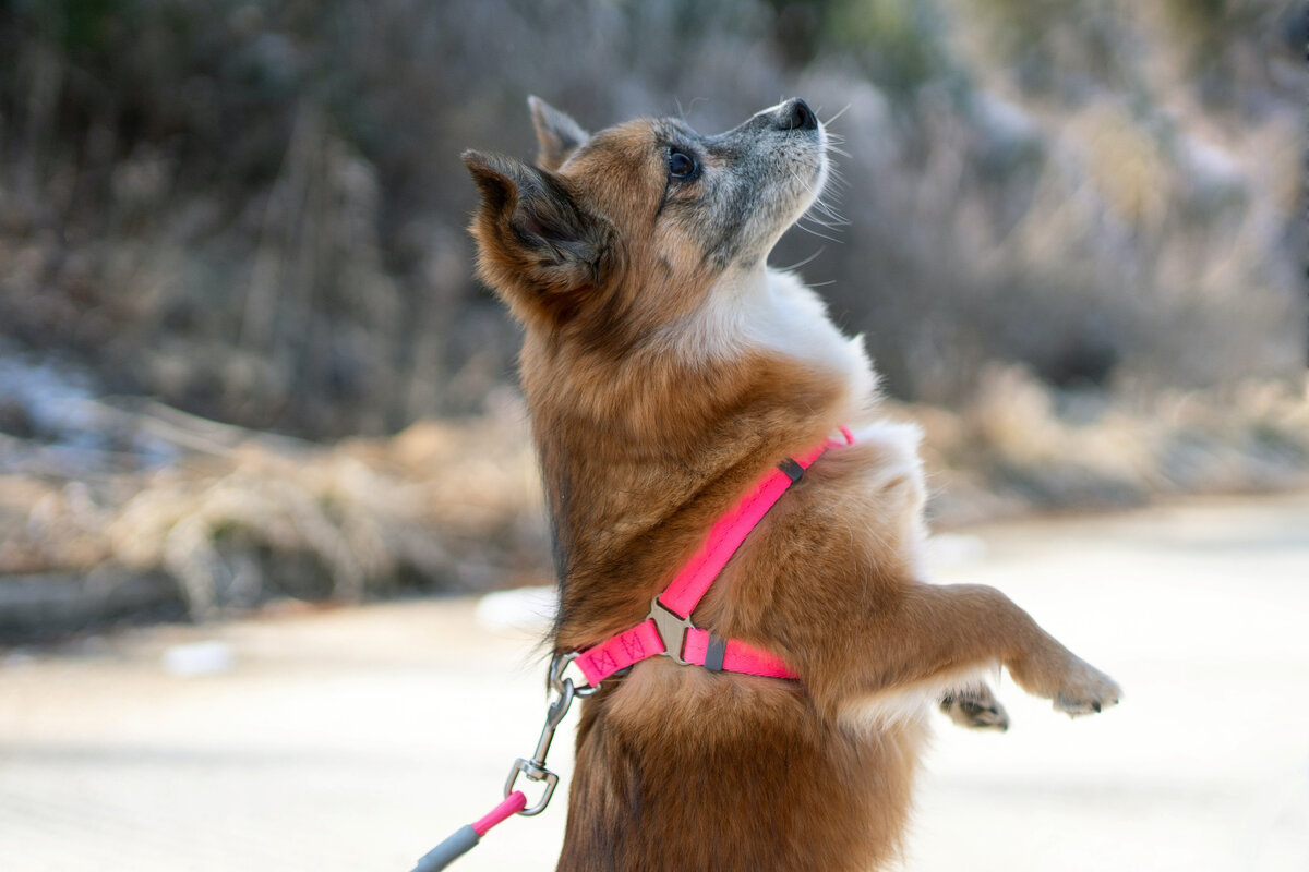 Фото: Unsplash.com