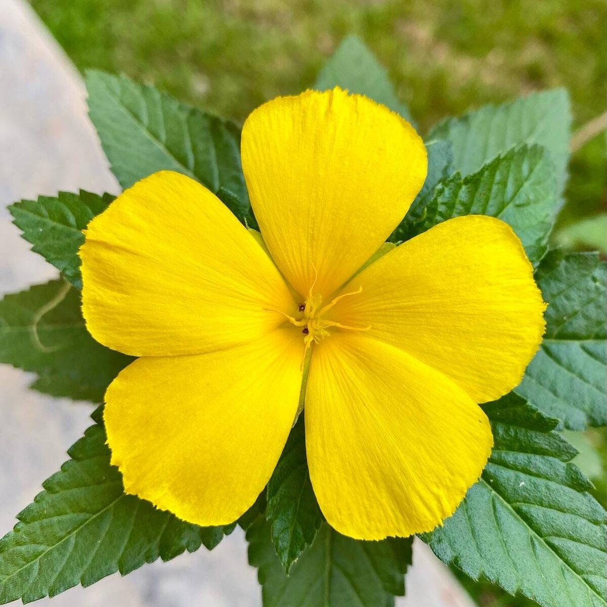 Очень красиво.