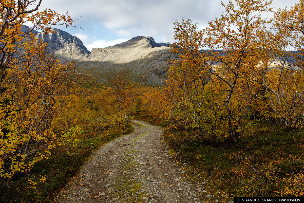 осень на Кольском