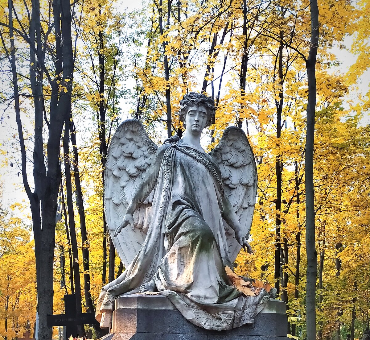Печальный осенний ангел Введенского кладбища. Все фото автора статьи.