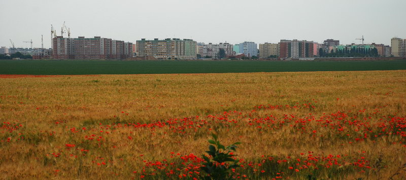 Автобусы ЛАЗ различных модификаций на улице Дзержинского - Фото № 8472 - Таганро