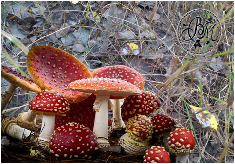 Ставьте лайки и подписывайтесь на мой канал