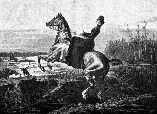 Имератрица Сисси на лошади.