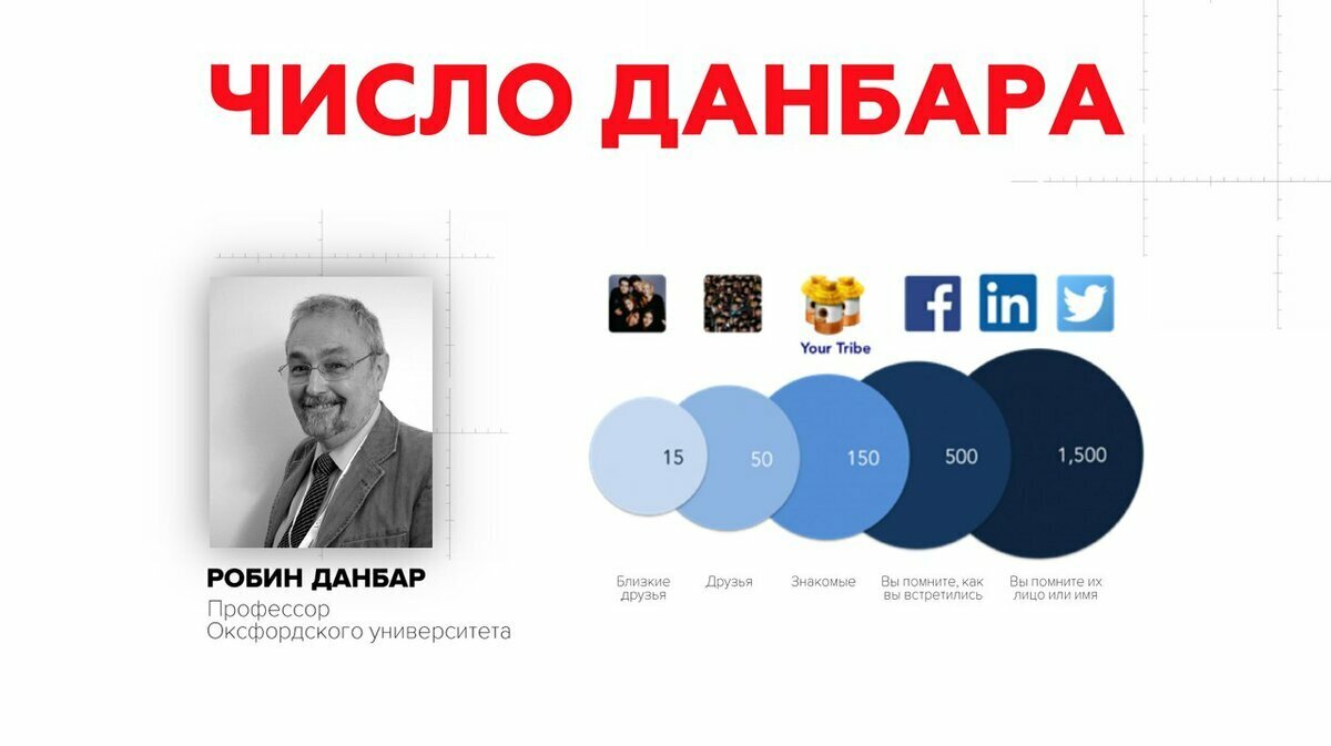 А какой у вас неокортекс?