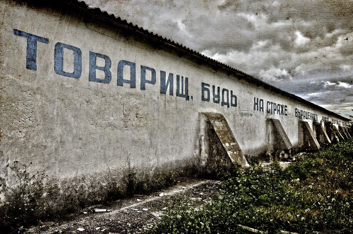 Фото со стока.https://pixabay.com/photo