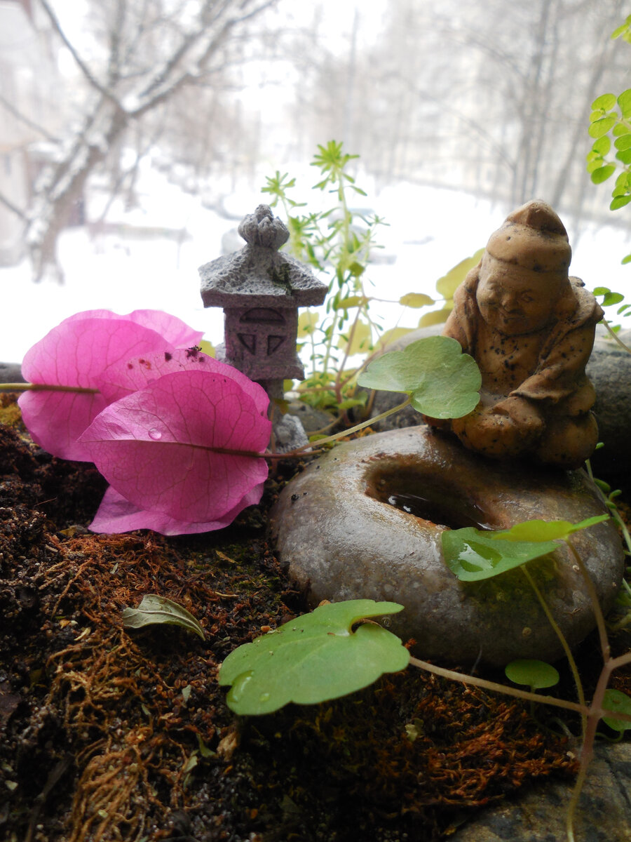 Под отцветшей бугенвиллеей