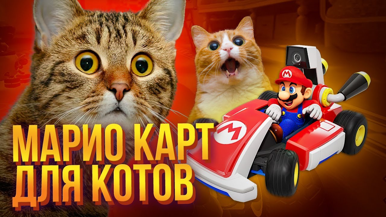 Обзор Mario Kart Live: гонки для людей и котов на Nintendo Switch