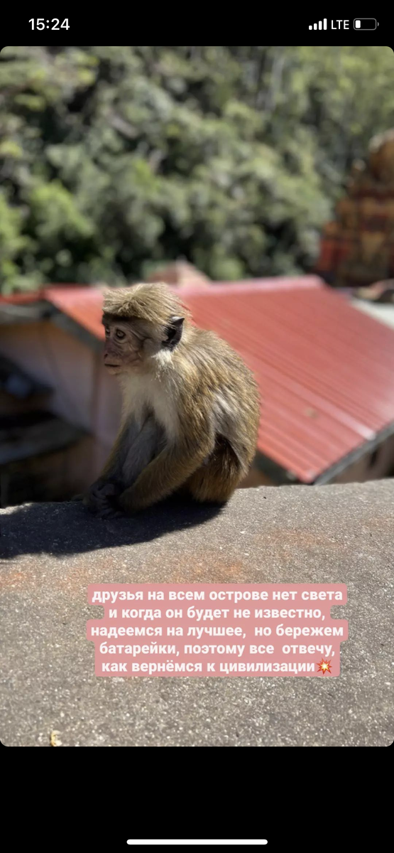 Очень гостеприимно 😂😂