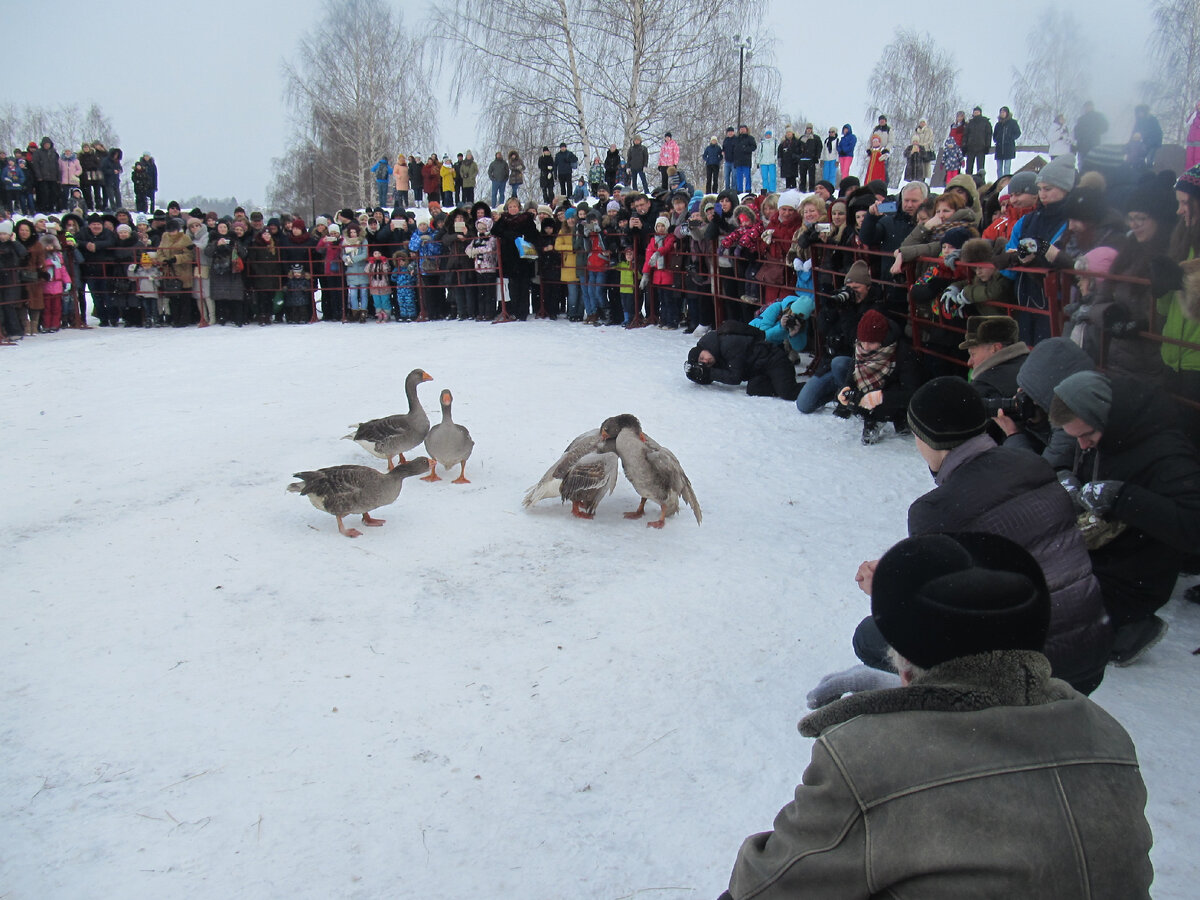 Фото автора.