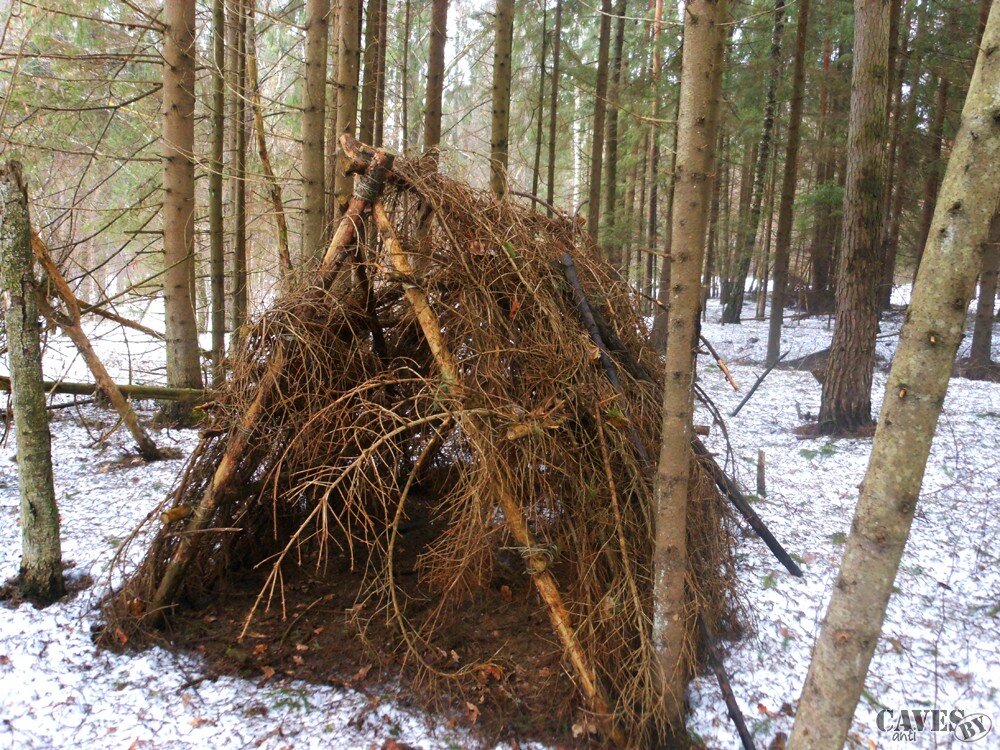 Шанти хоум лес ленинградская область. Шалаш укрытие. Домик шалаш манская заимка. Домик из веток в лесу. Шалаш из веток.