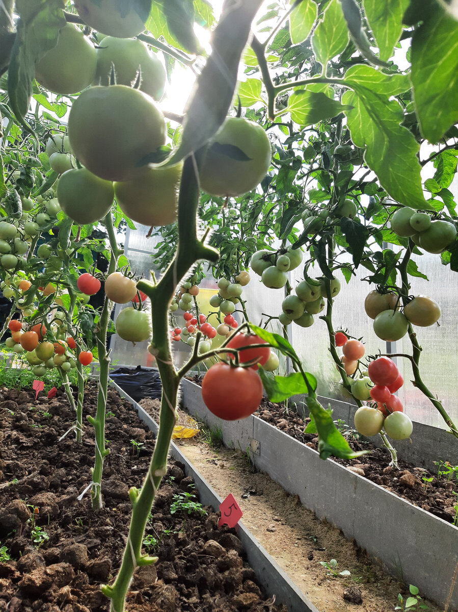 Тоже все моё 