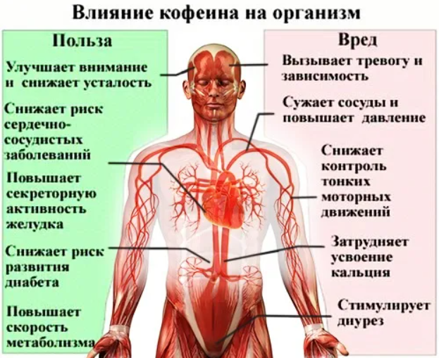 Проект влияние кофе на организм человека проблема