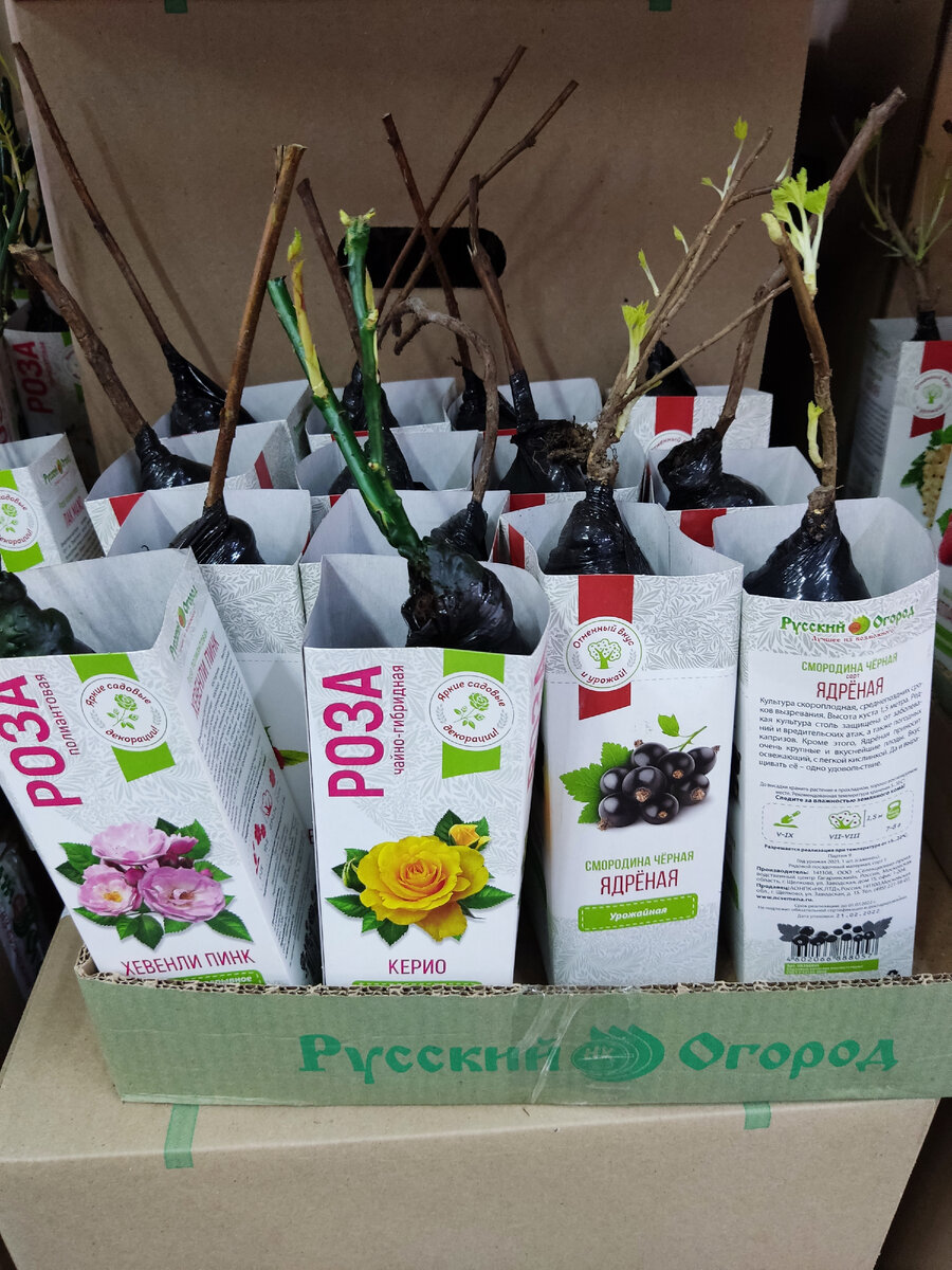 Фото дневник мамы