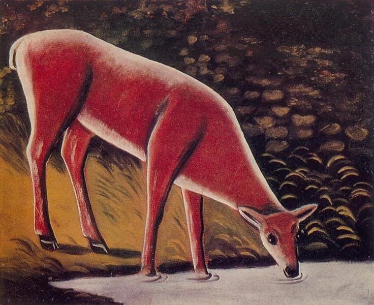 Косуля у ручья
