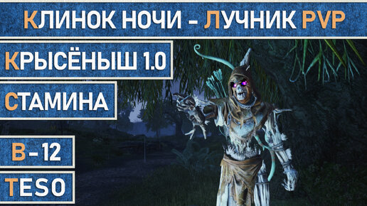 TESO: Крысёныш 1.0 Клинок ночи / НБ / Найтблейд. Стамина - лучник для PvP. Чёрный лес Мертвые земли.