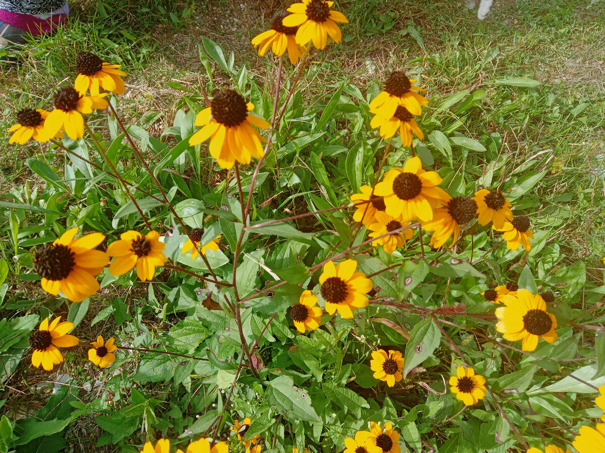 Фото автора.