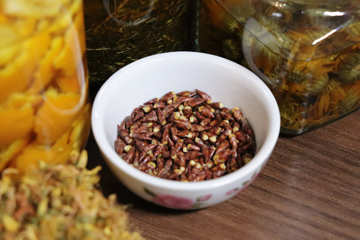 Высушенные тополиные почки