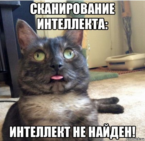 Ни коты. Ни коты