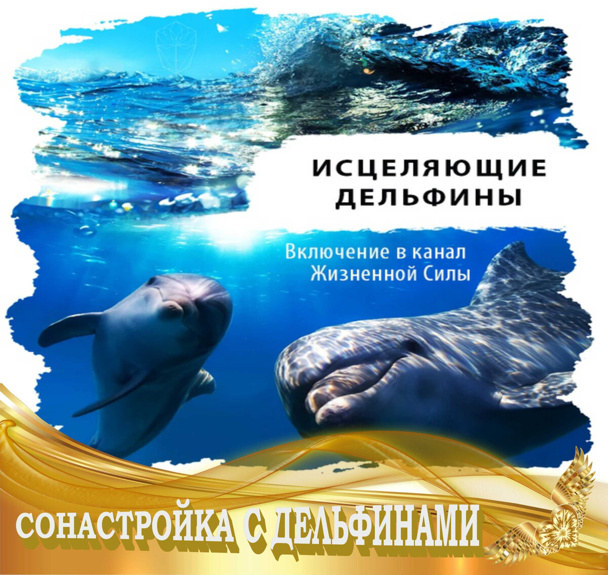 https://vk.com/elviraobol?z=photo97568267_457240995%2Falbum97568267_00%2Frev