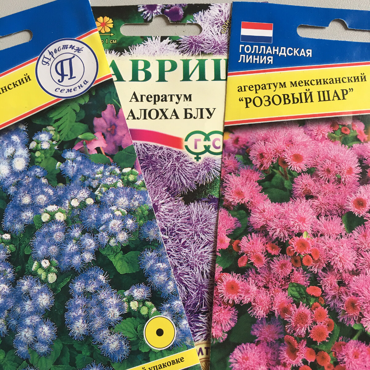 Три сорта для выращивания в этом сезоне