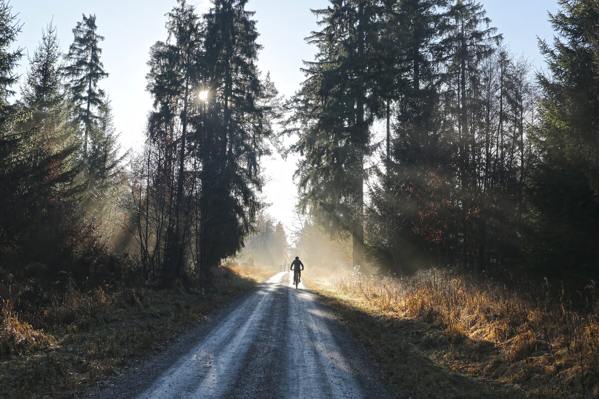 Фото с бесплатного фотоистока https://pixabay.com, автор onkelglocke