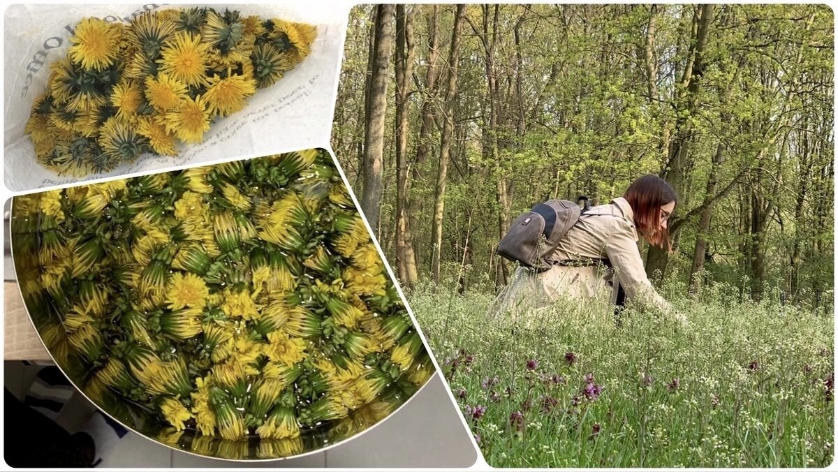 Фото Полины Гусенковой. Май 2021 г. 