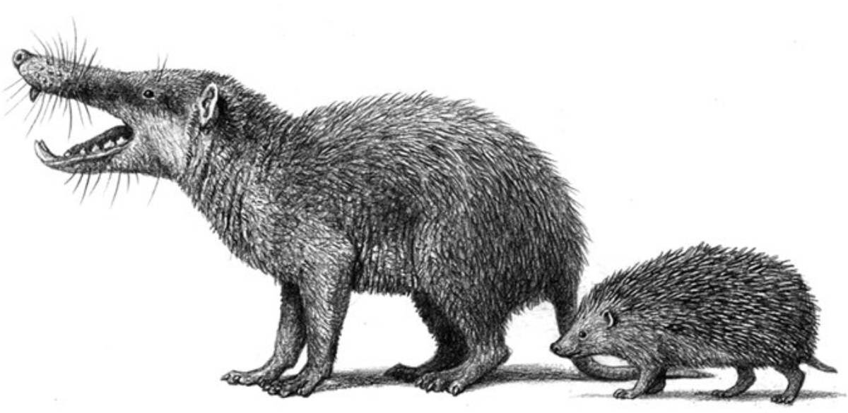 Источник: Wikimedia Commons