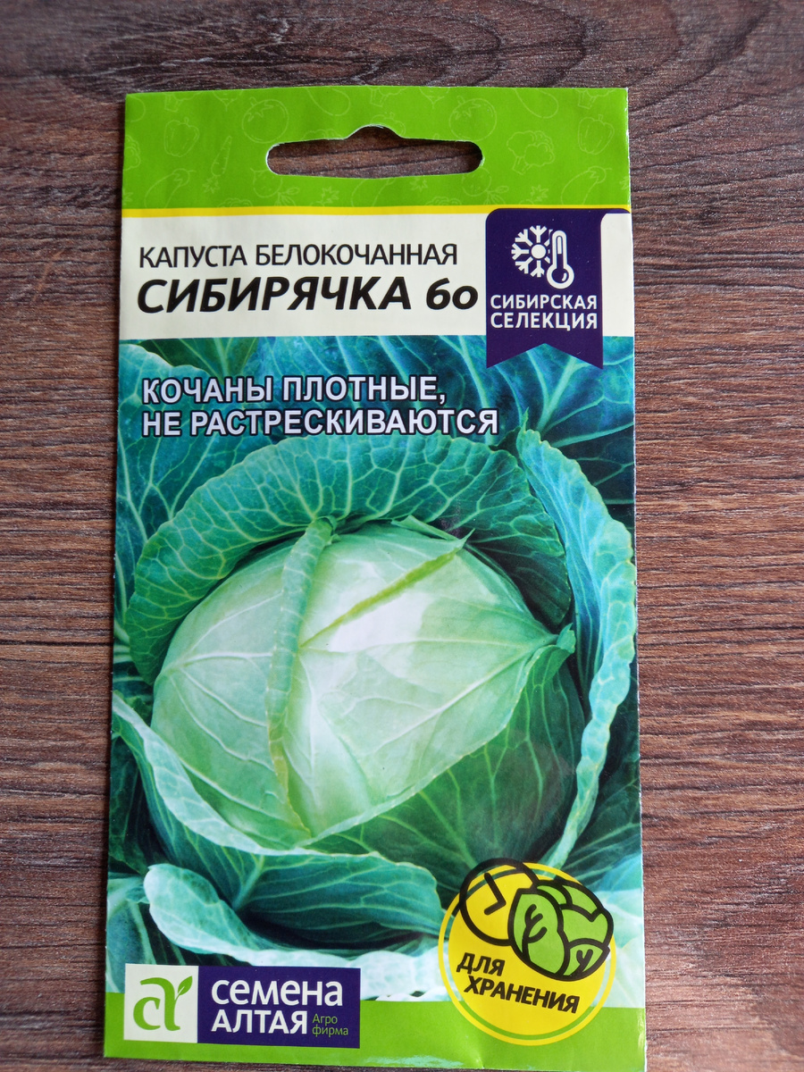 Среднеспелый сорт, подходит для употребления в свежем и квашеном виде, хранится не так хорошо как позднеспелые сорта, но все же 4 месяца при правильном хранении капустка будет радовать.