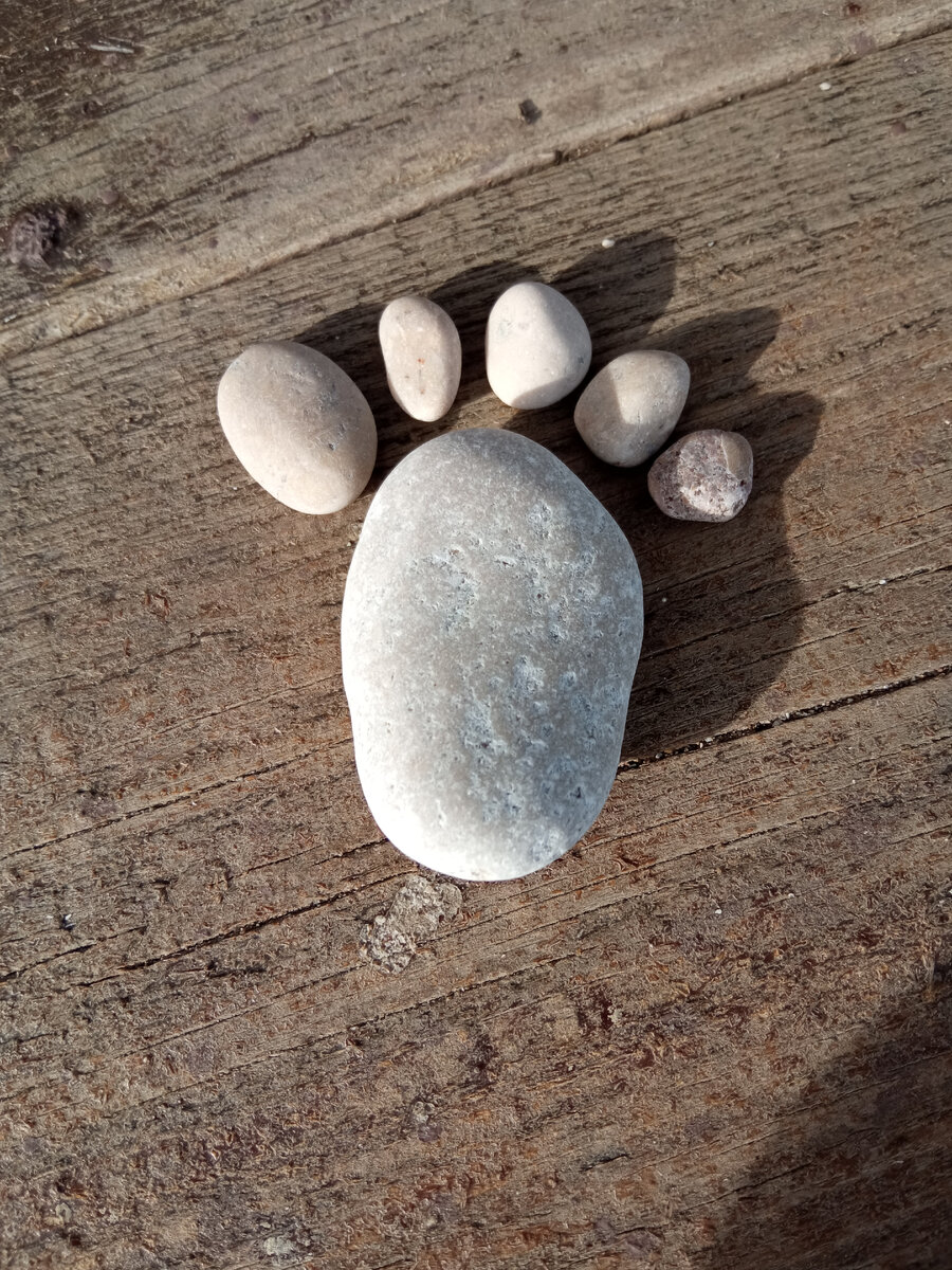 фото автора. зима, 2022. мама занималась делом на пляже)))