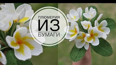 Plumeria - paper flowers / Плюмерия - цветы из бумаги / DIY TSVORIC