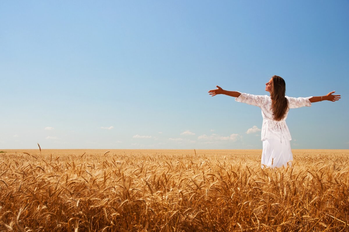 Автор: firestock