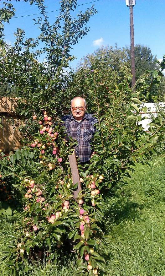 Валерий Константинович Железов