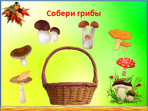 Грибы урок 1 класс. Съедобные и несъедобные грибы из пластилина. Грибы двойники 5 класс биология. Грибы урок 1 класс. Грибы урок 1 класс.