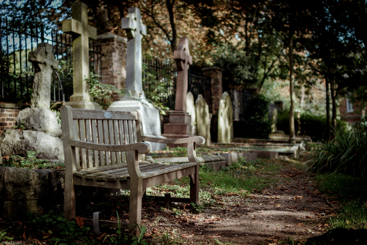 Источник фото - https://clck.ru/pcxZN