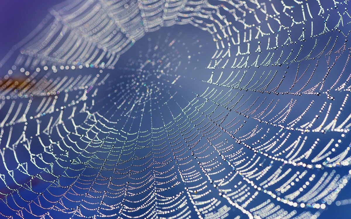 Иллюстрация взята из свободного источника Интернета