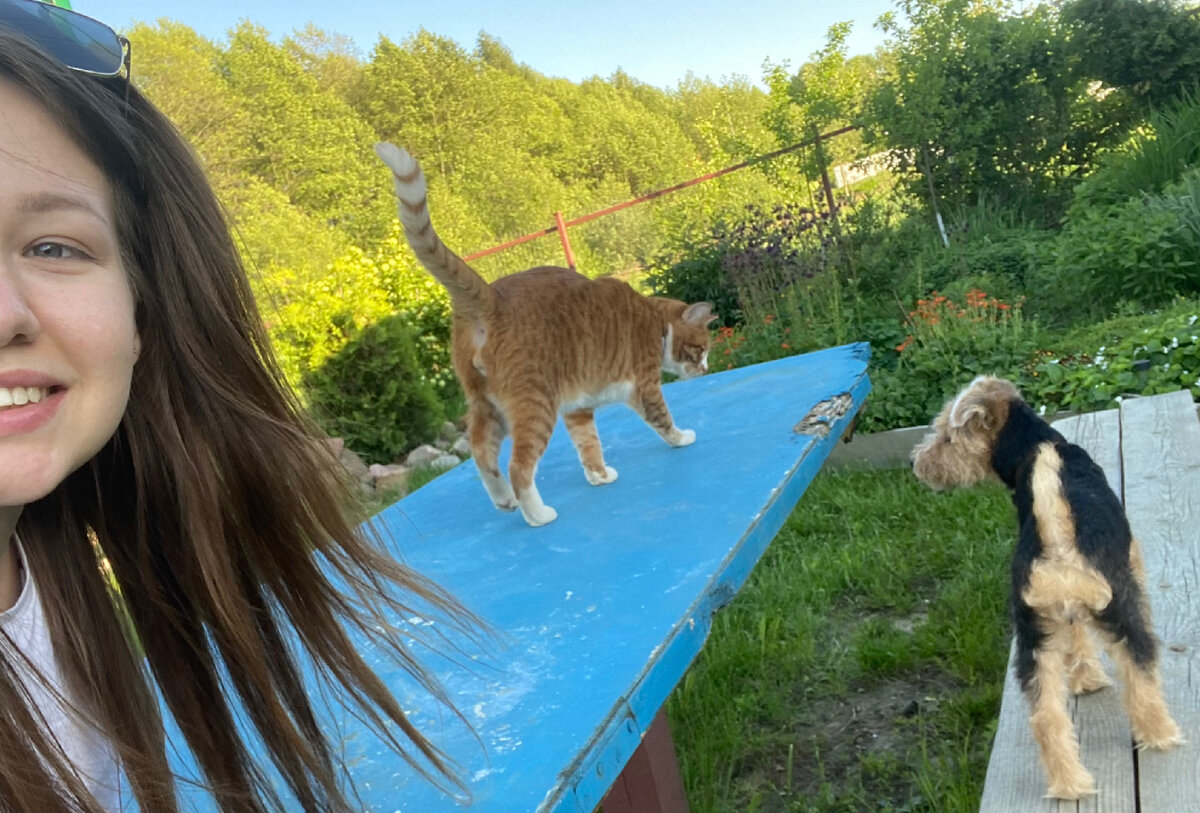 Я🤷🏼‍♀️, Кассиопей🐱и Марта🐕