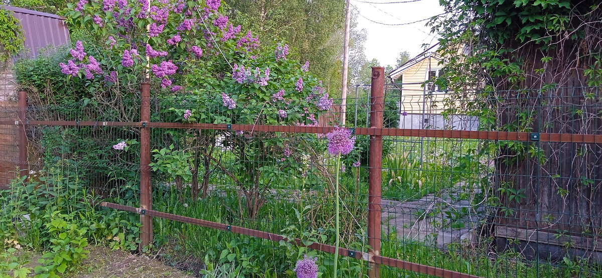 Фото автора канала