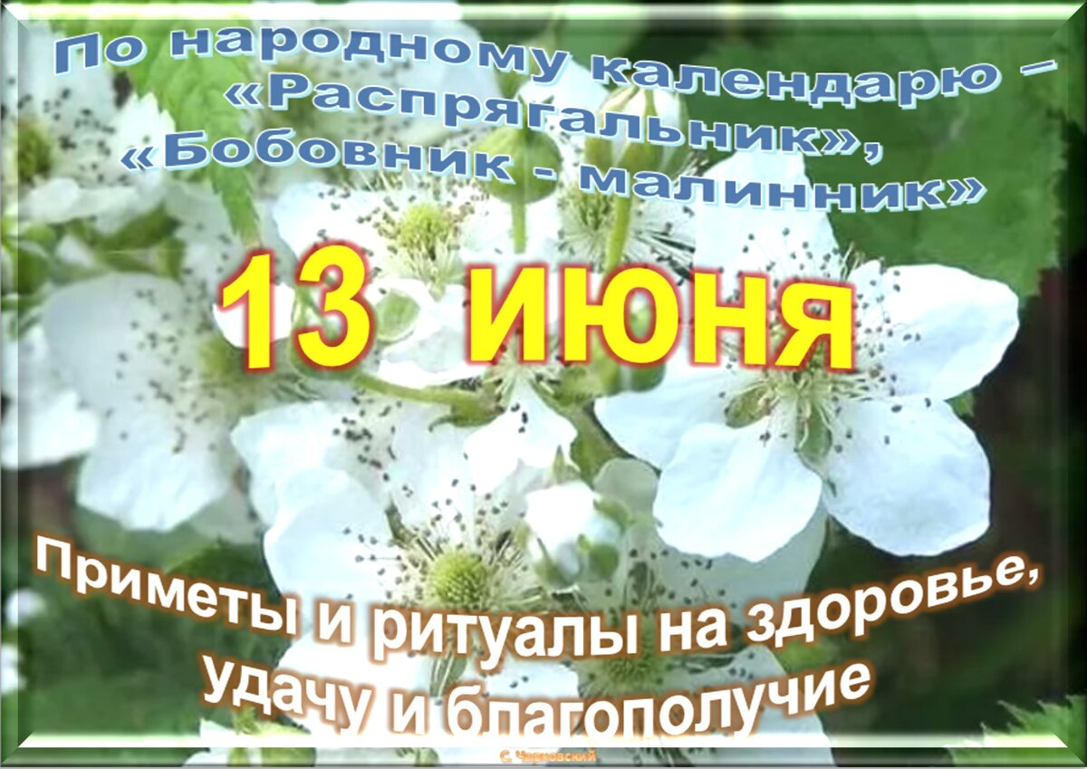 13 июня - Традиции, приметы, обычаи и ритуалы дня. Все праздники дня во  всех календаре. | Сергей Чарковский Все праздники | Дзен