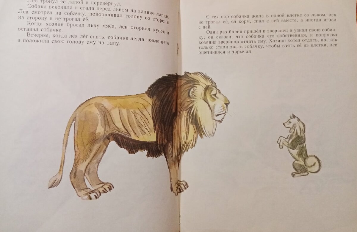 Рисунки “Лев и собачка” карандашом (19 фото)