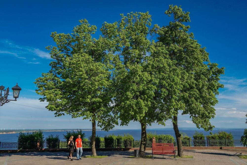 Бульвар новый венец Ульяновск. Красивые места Ульяновска. Красивые места в Ульяновске для фотосессии. Бульвар новый венец Ульяновск фото.