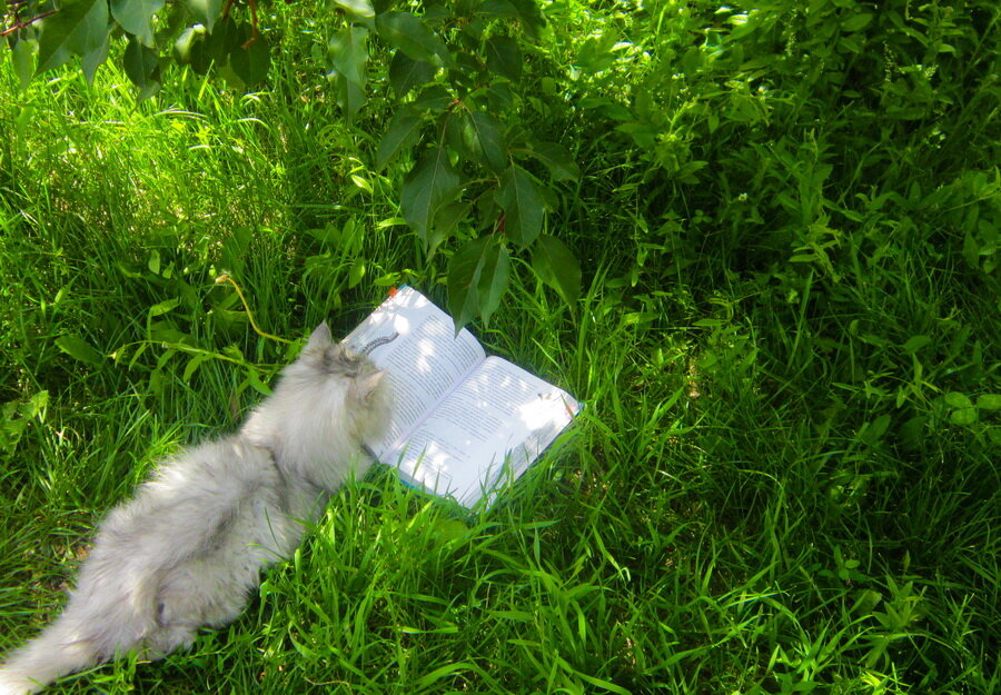 Все фотографии в публикации - авторские