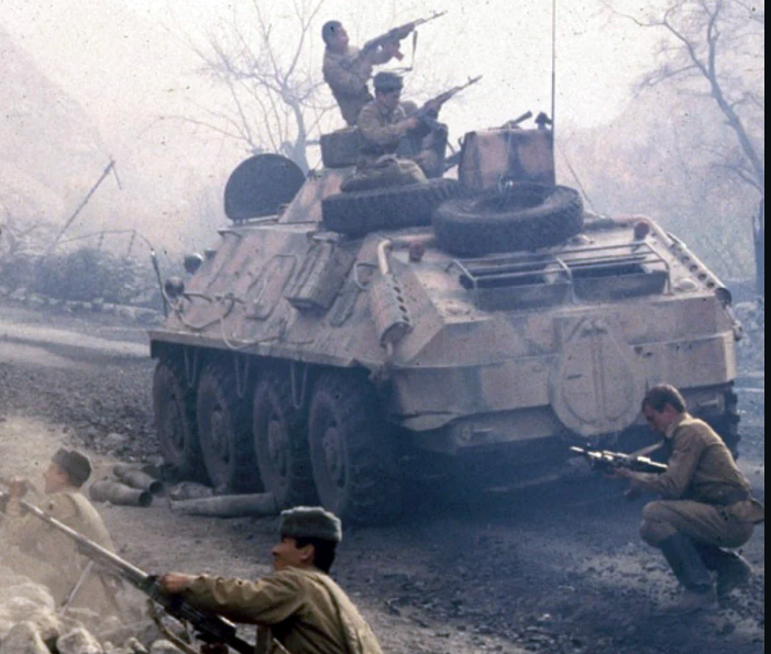 фото из интернета.